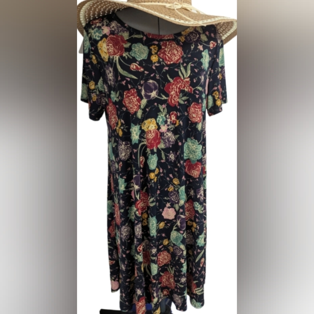 Dress. LulaRoe. A line. Hi low. All season fashion.